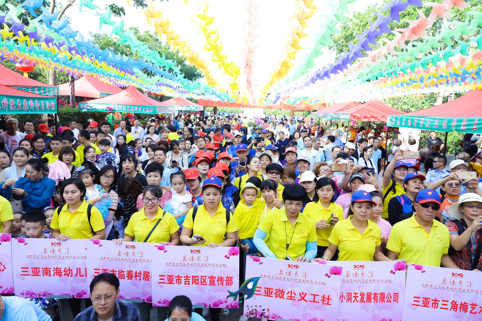 三亚迎春兰花展在临春岭公园举行 (8)