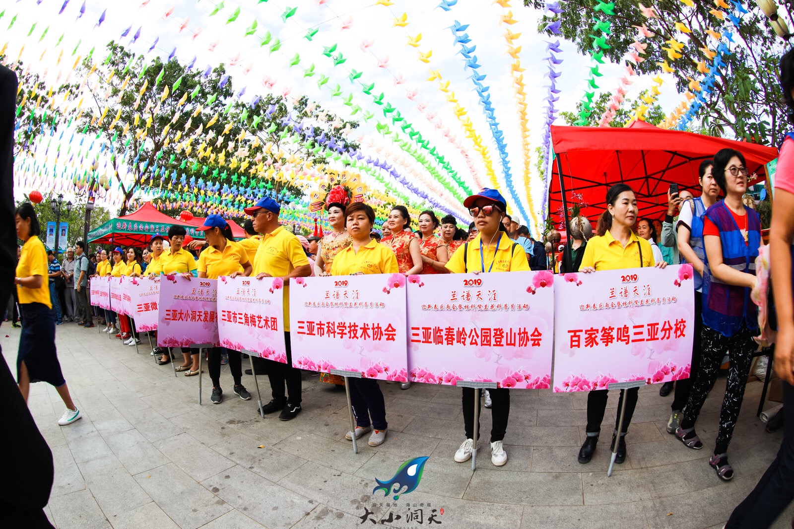 三亚迎春兰花展在临春岭公园举行 (2)