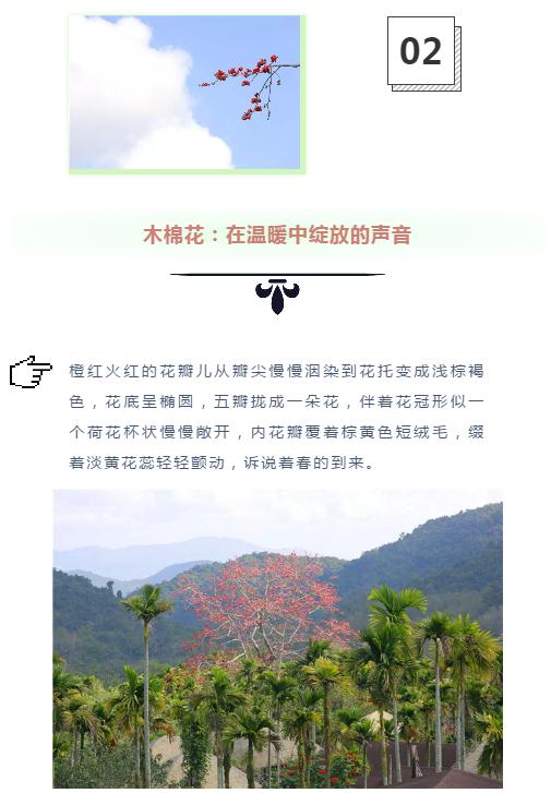 微信截图_20190221112749