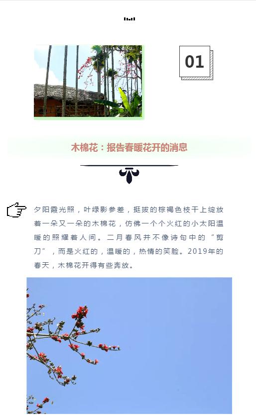 微信截图_20190221112659