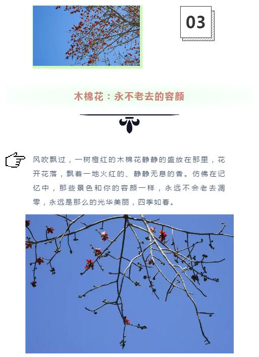 微信截图_20190221112838