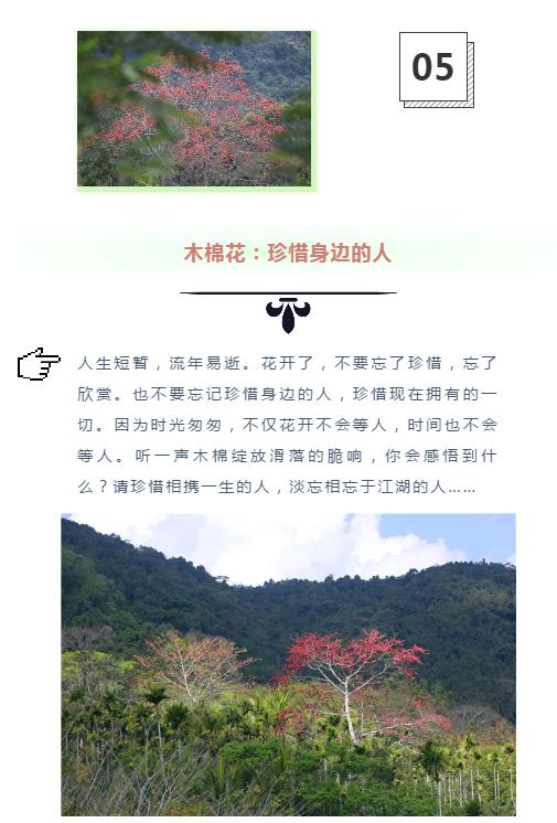 微信截图_20190221113016