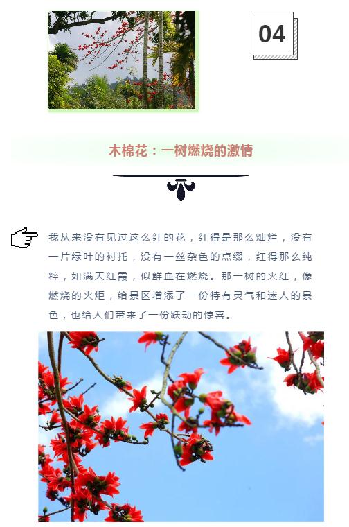 微信截图_20190221112930