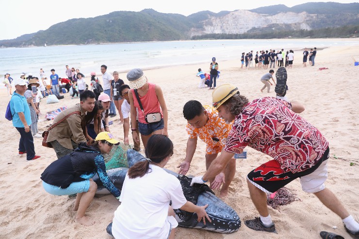 2月23日，志愿者在后海湾南部海滩区域捡拾垃圾-11