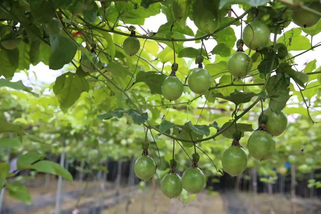 微信图片_20190523181952