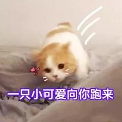 微信图片_20190531090727