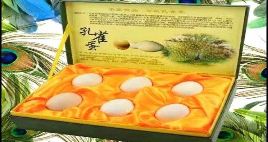 微信图片_20190603092051