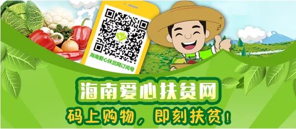 微信截图_20190603095356