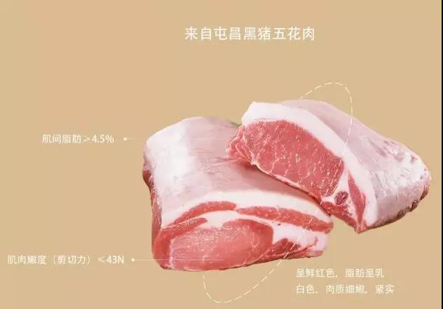 微信图片_20190603095530