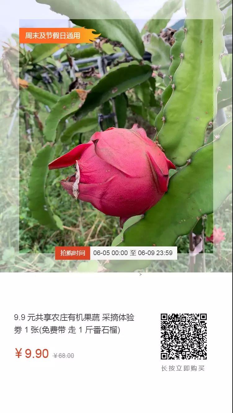 微信图片_20190606153753