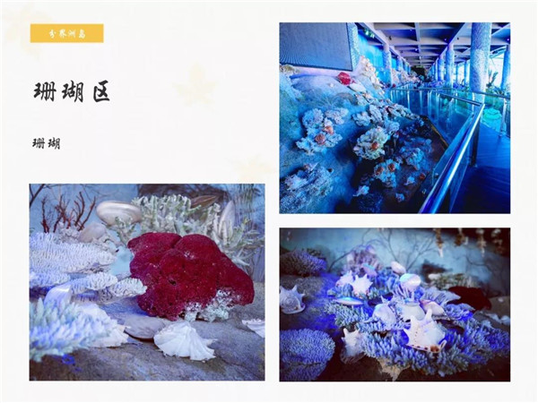 微信图片_20190701175630