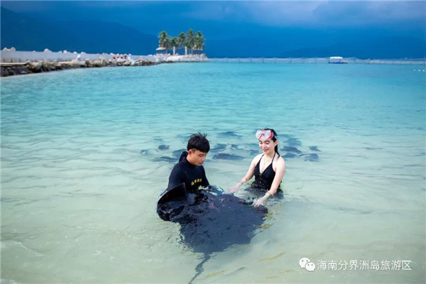 微信图片_20190701175800