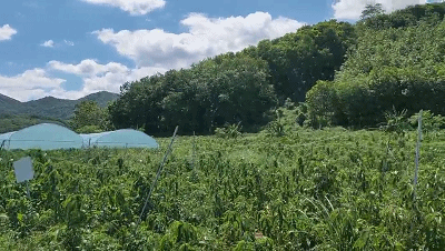微信图片_20190704163330