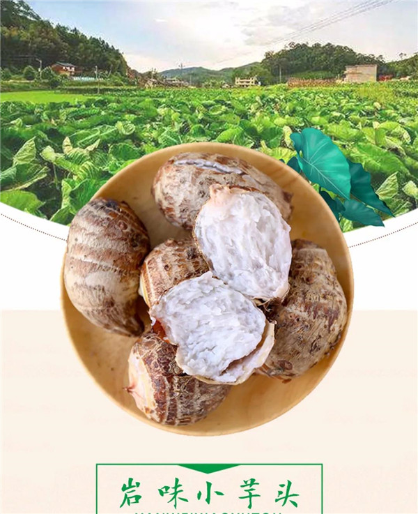 微信图片_20190709171516
