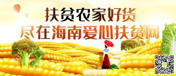 微信图片_20190709171438