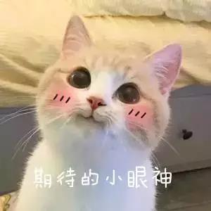 微信图片_20190709102613