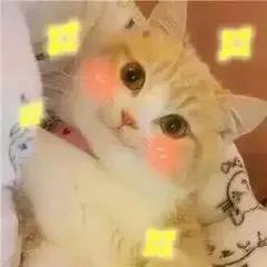 微信图片_20190709102631