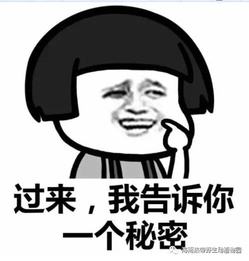 微信图片_20190712100039