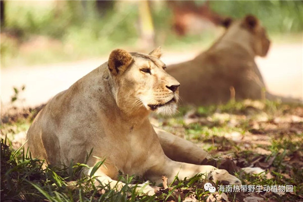 微信图片_20190712095527