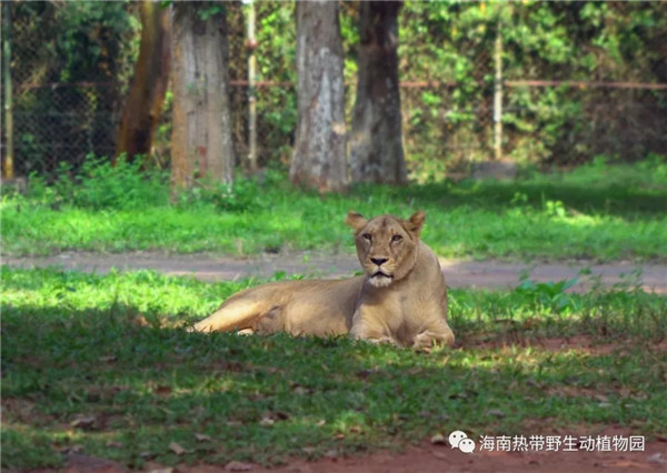 微信图片_20190712095517