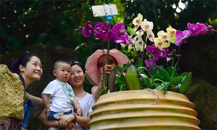 微信图片_20190715165108