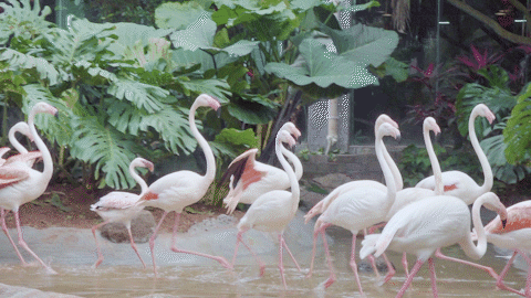 微信图片_20190718153623