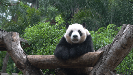 微信图片_20190718153547