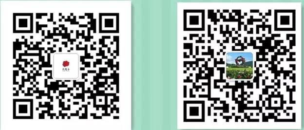 微信图片_20190718165132