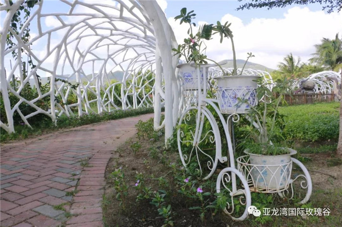 微信图片_20190718164343
