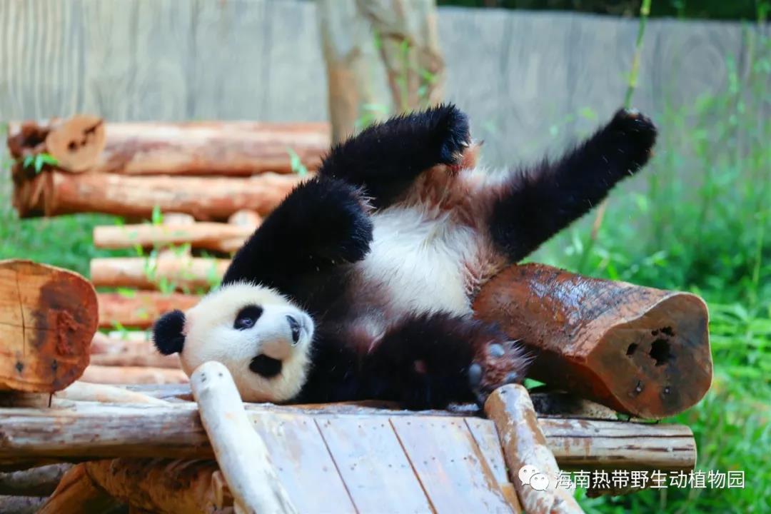 微信图片_20190718153527