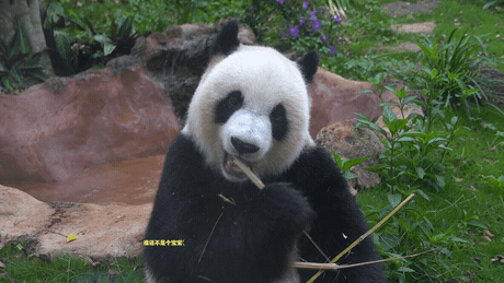 微信图片_20190718153627