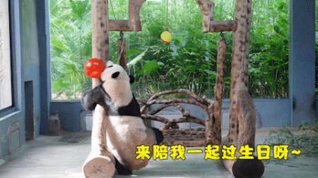 微信图片_20190803160234