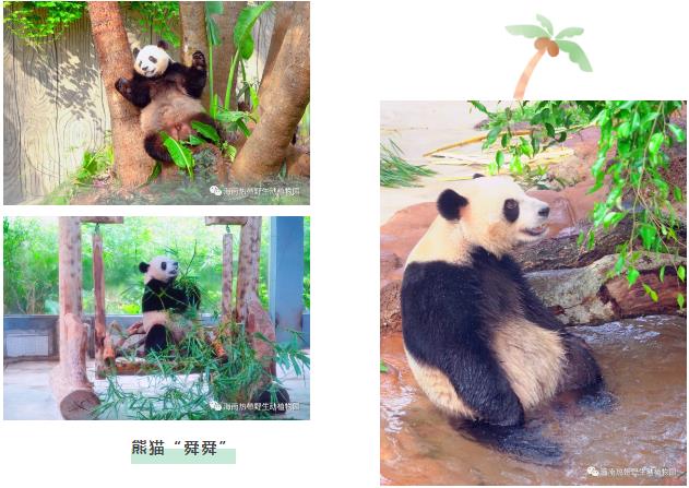 微信截图_20190803160219