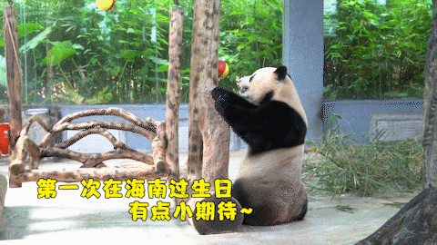微信图片_20190803160247