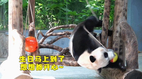 微信图片_20190803160250