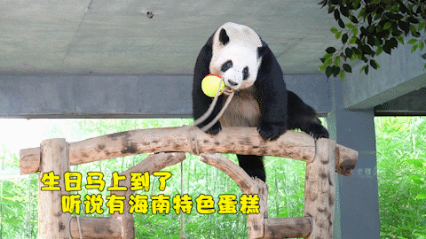 微信图片_20190803160230