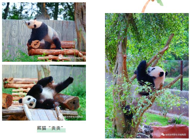 微信截图_20190803160159