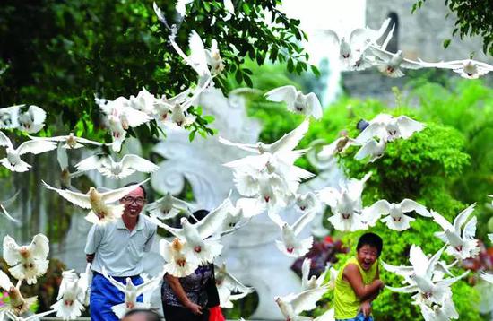 微信图片_20191001095454