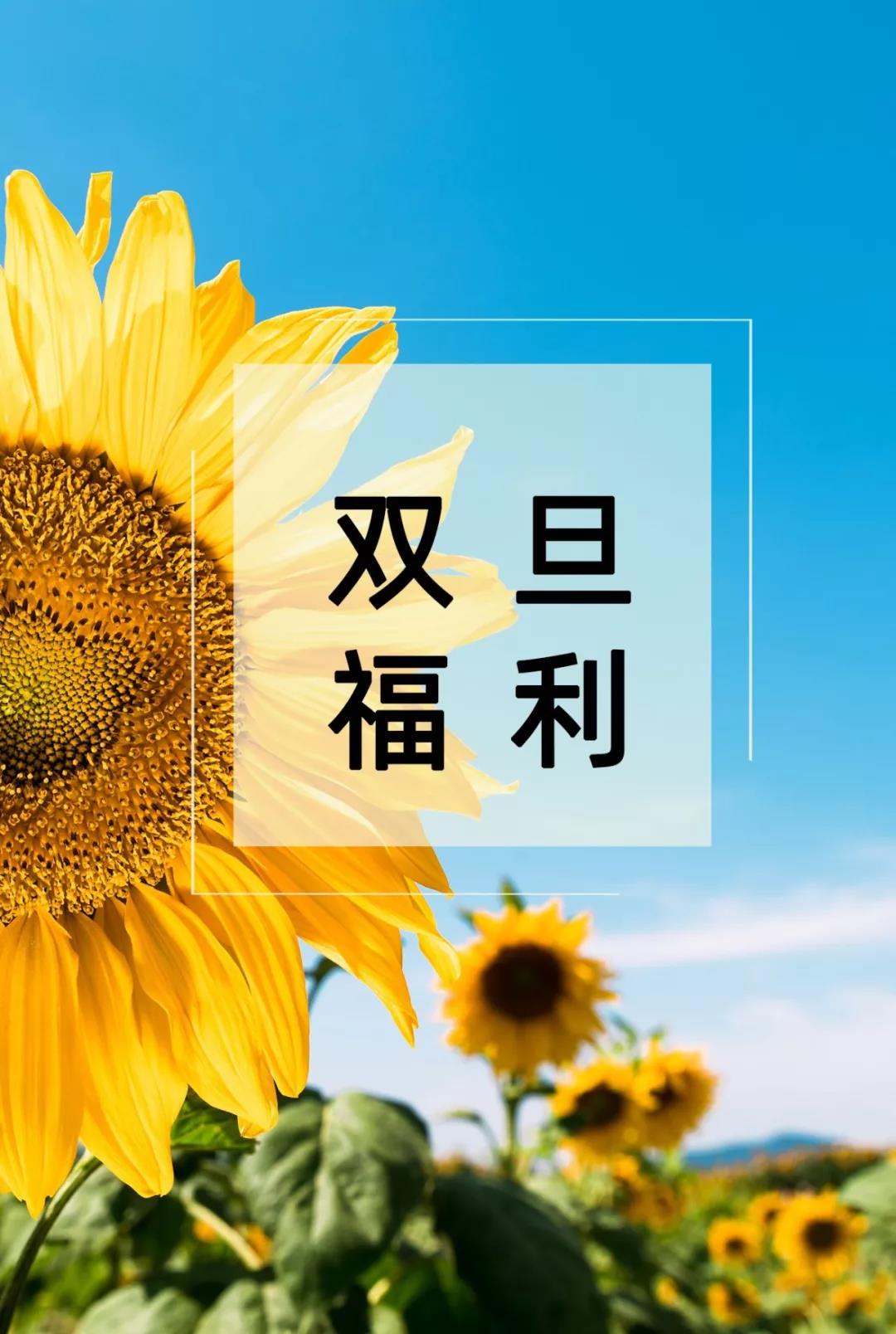 微信图片_20191231150151