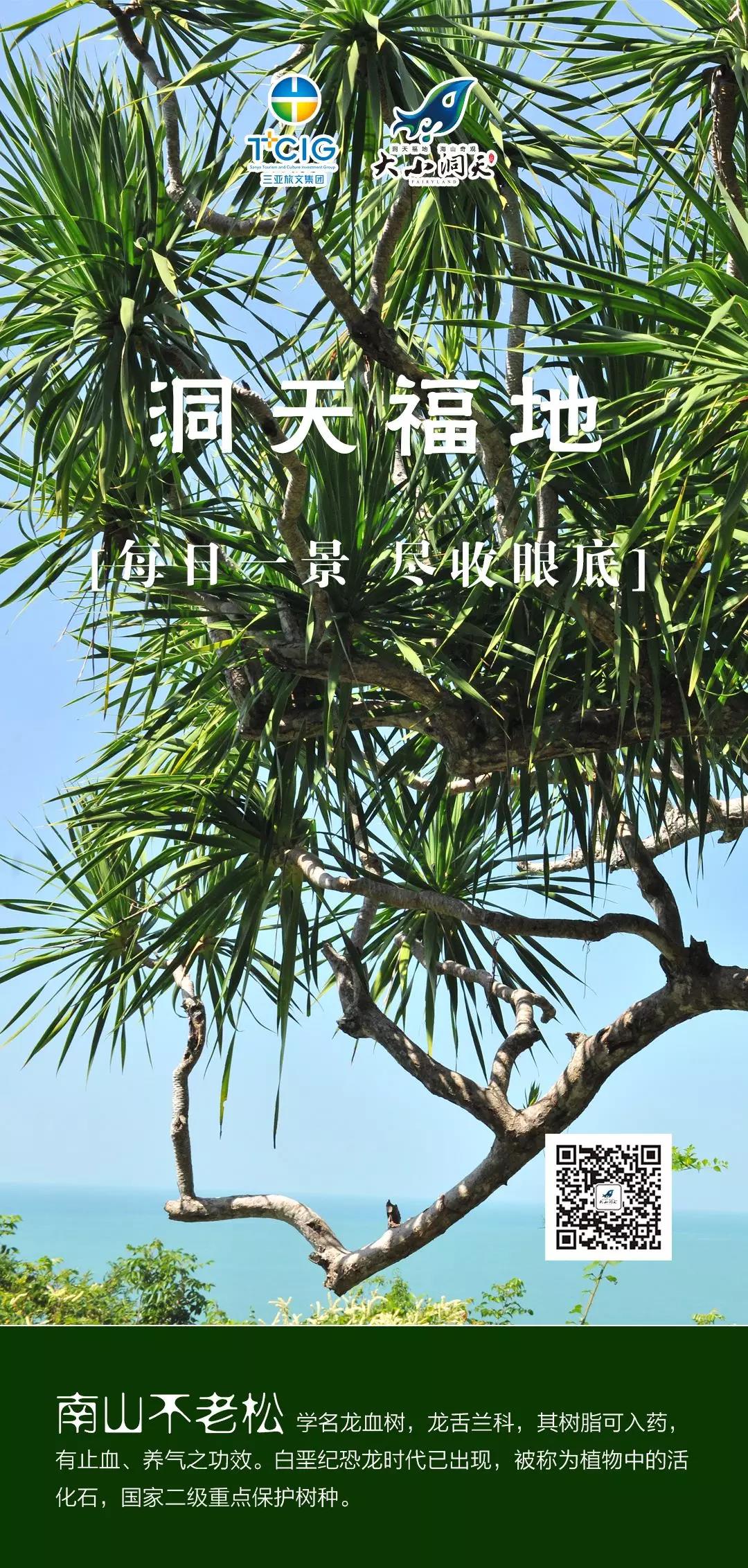 微信图片_20200320155241