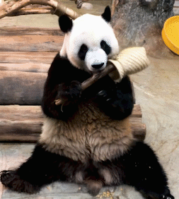 微信图片_20200930093154
