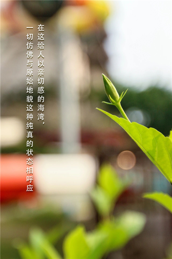 微信图片_20200930133725