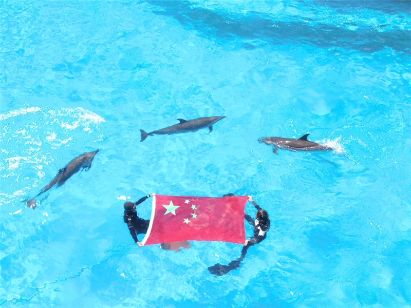 图片4