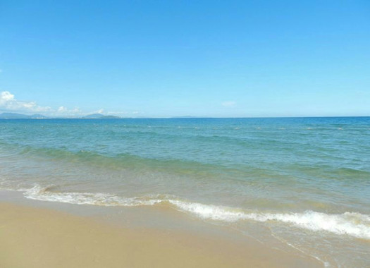 海棠