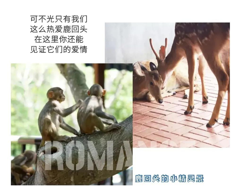 微信图片_20210324093527