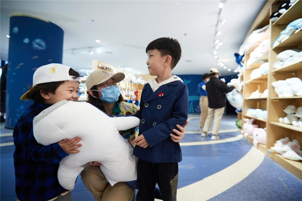 图片6