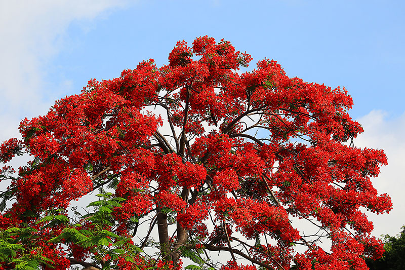 微信图片_20220609145928