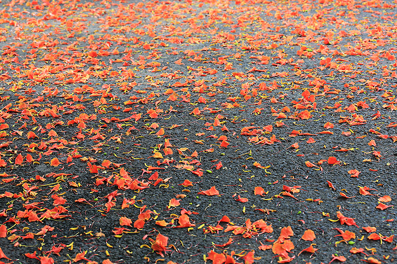 微信图片_20220609150011