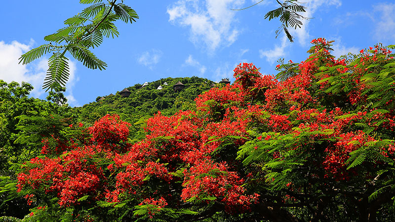 微信图片_20220609145932