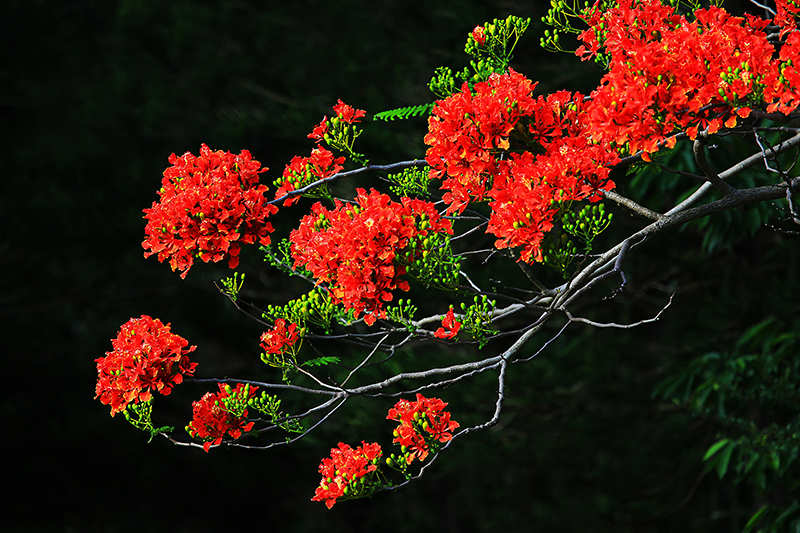 微信图片_20220609145943